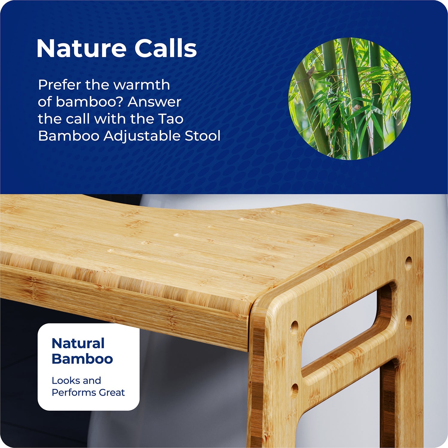TAO BAMBOO